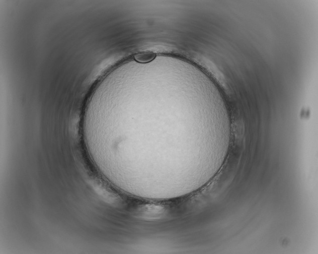 X0000096130159200802011156