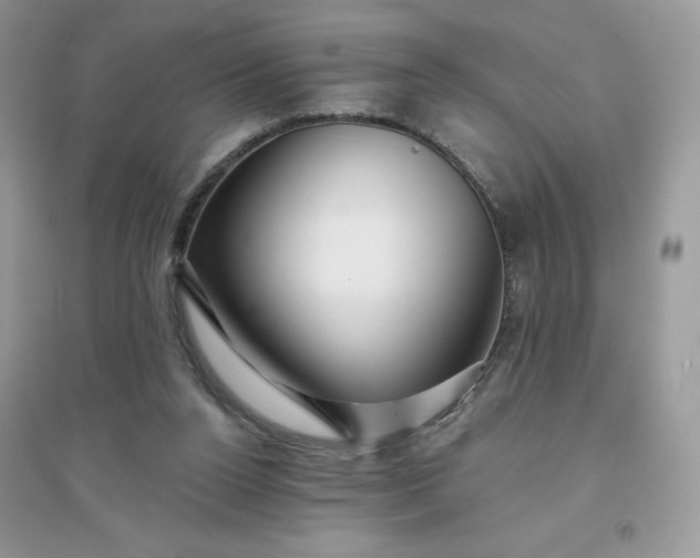 X0000096130160200802011156