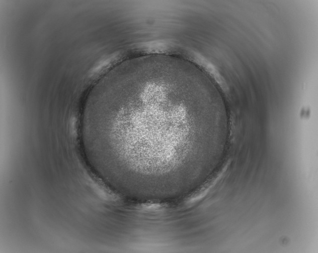 X0000096130161200802011156