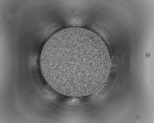 X0000096130162200802011156