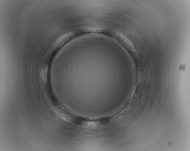 X0000096130163200802011156