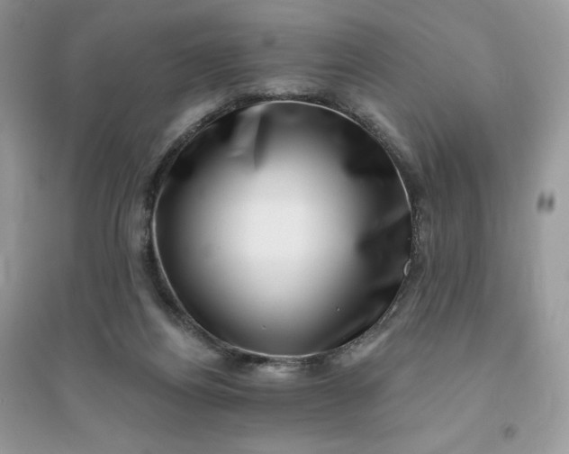 X0000096130164200802011156