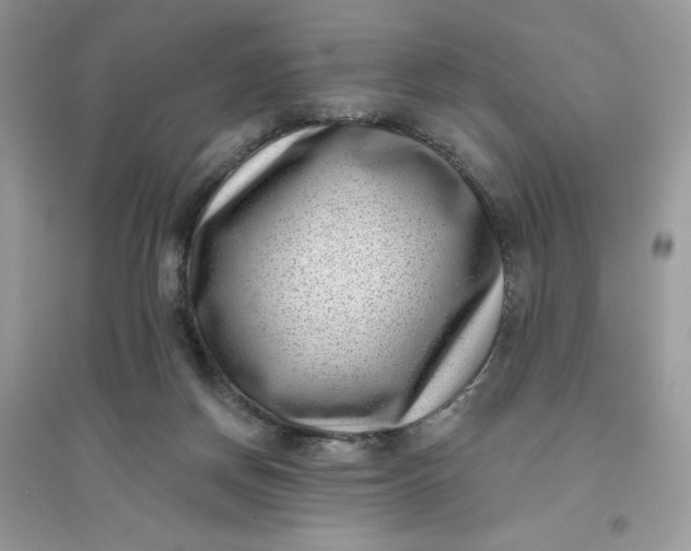 X0000096130166200802011156
