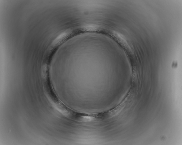 X0000096130167200802011156