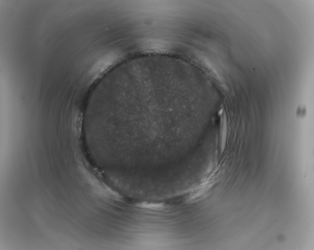 X0000096130168200802011156