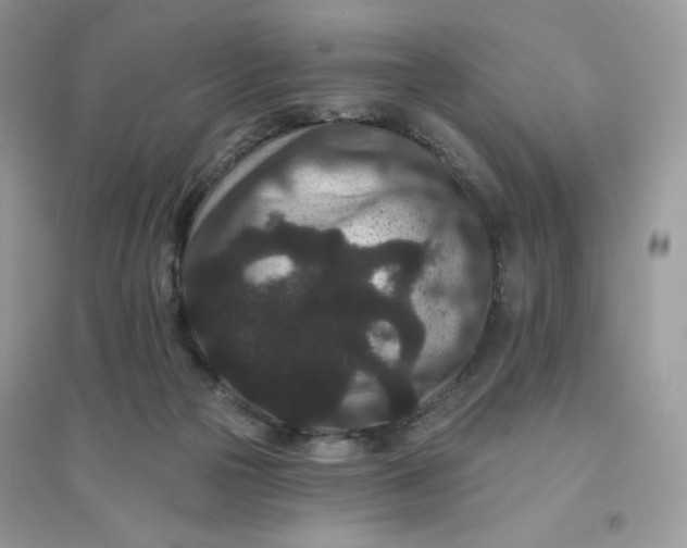 X0000096130169200802011156