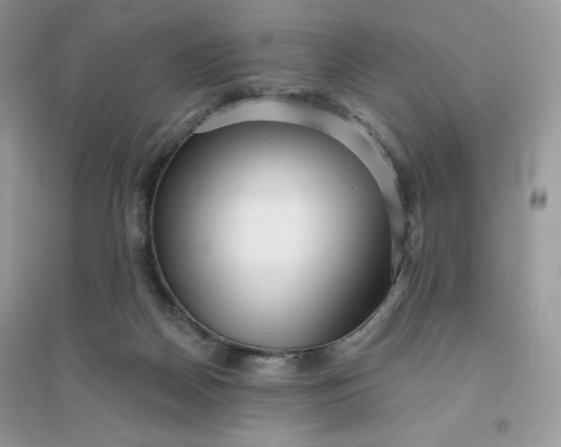 X0000096130170200802011156