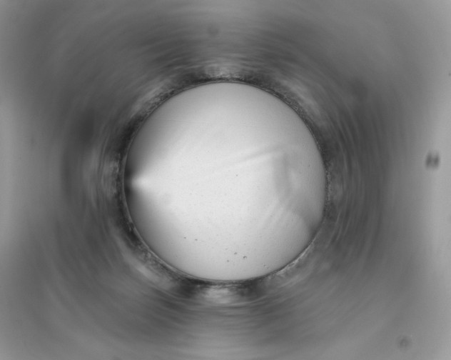 X0000096130171200802011156