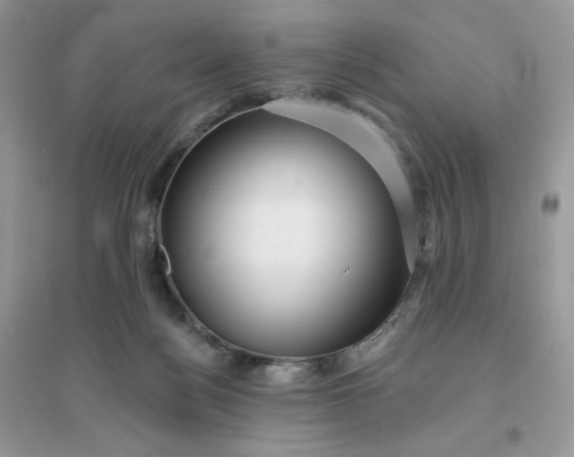 X0000096130172200802011156