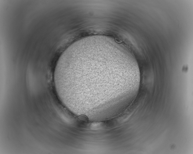 X0000096130173200802011156