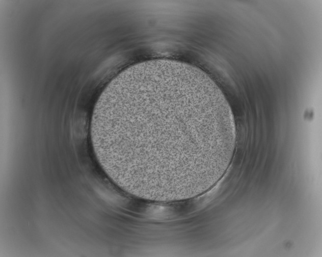 X0000096130174200802011156