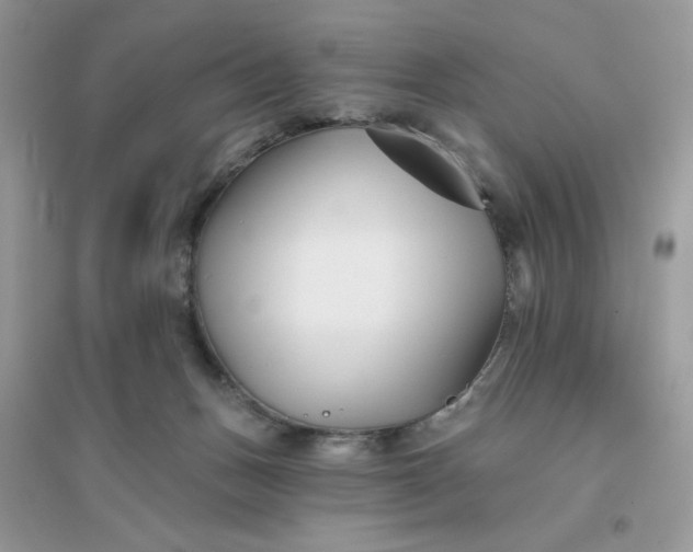 X0000096130175200802011156