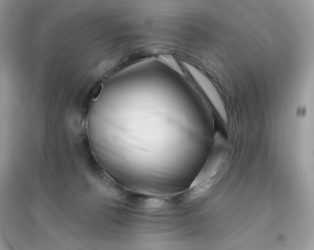 X0000096130176200802011156