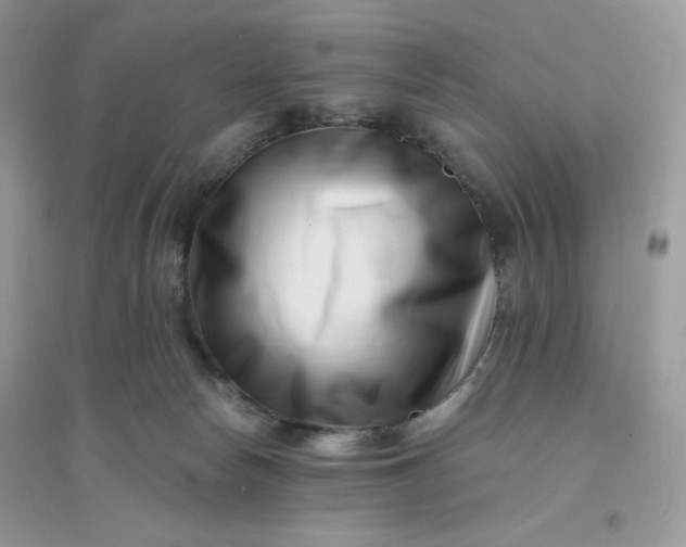 X0000096130178200802011156