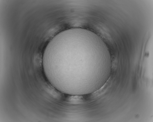 X0000096130179200802011156