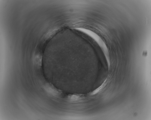 X0000096130180200802011156