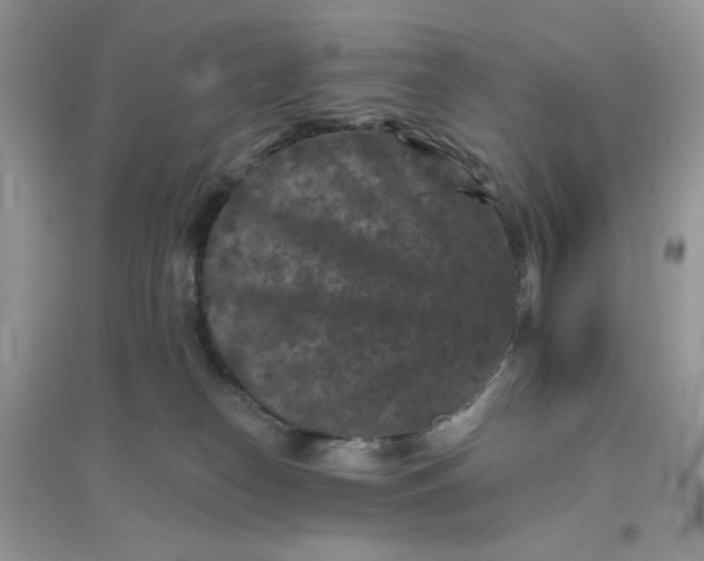 X0000096130182200802011156
