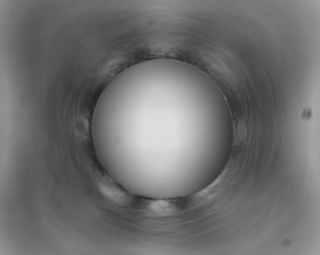 X0000096130183200802011156