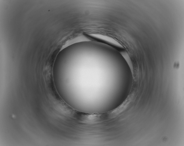 X0000096130184200802011156