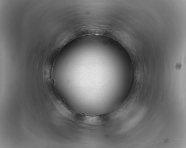 X0000096130185200802011156