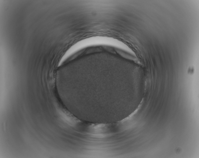 X0000096130186200802011156