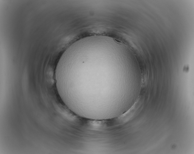 X0000096130187200802011156