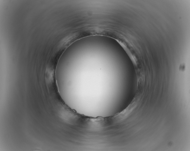 X0000096130188200802011156