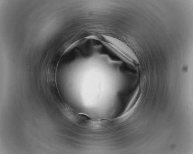 X0000096130190200802011156