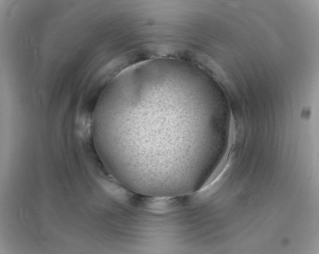 X0000096130191200802011156