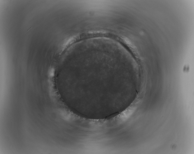 X0000096130192200802011156