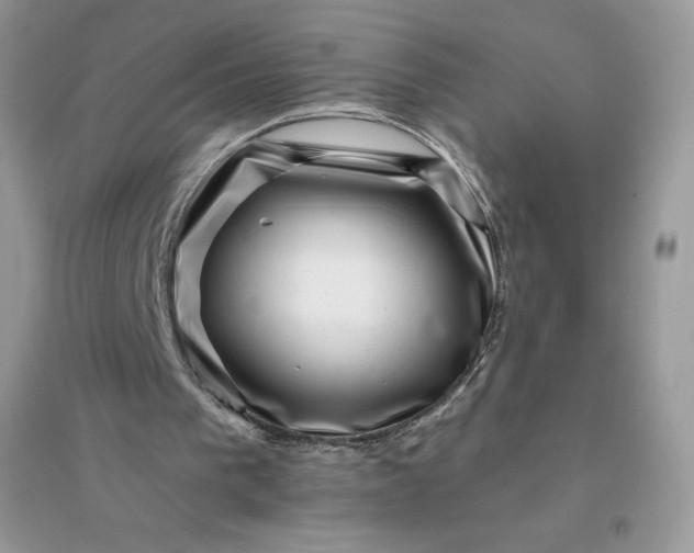 X0000096130193200802011156