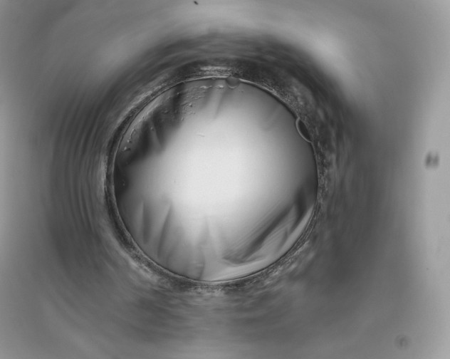 X0000096130194200802011156