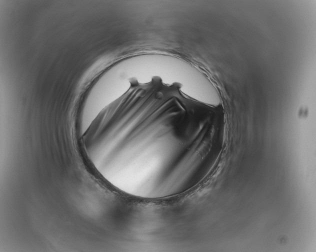 X0000096130197200802011156