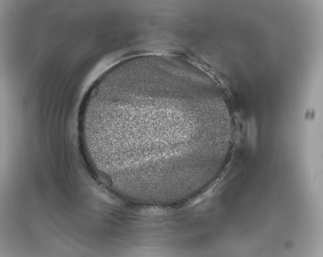 X0000096130198200802011156