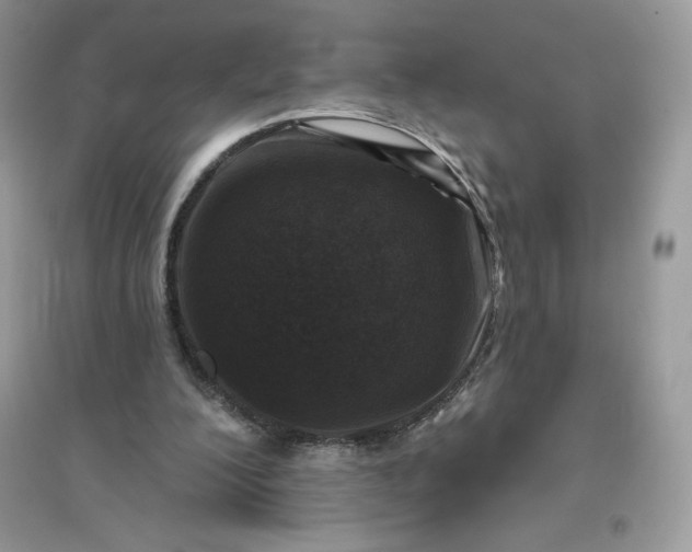 X0000096130200200802011156