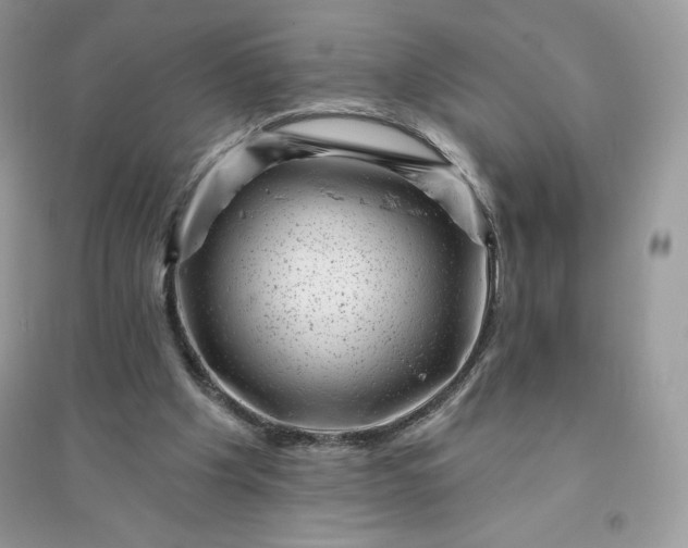 X0000096130201200802011155