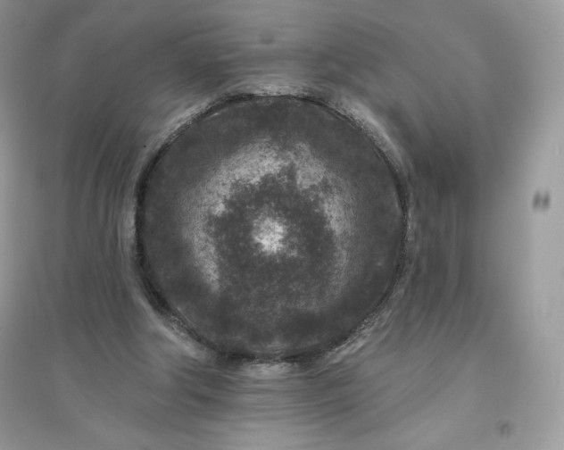 X0000096130202200802011155