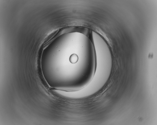 X0000096130203200802011155