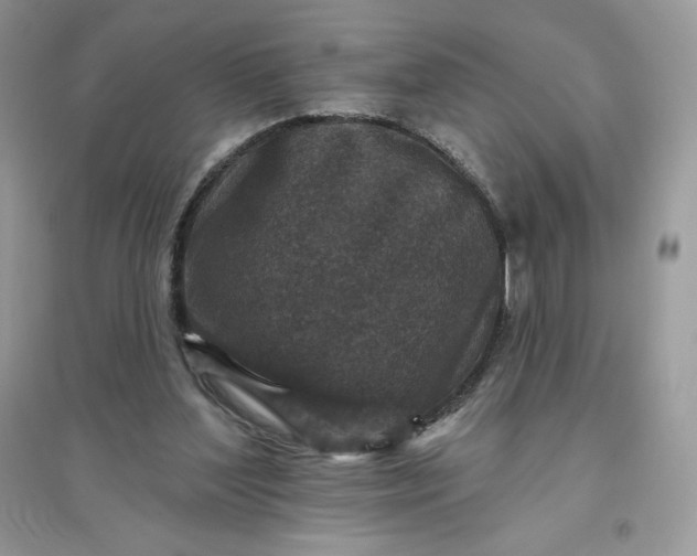 X0000096130204200802011155