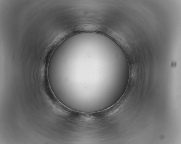 X0000096130206200802011155