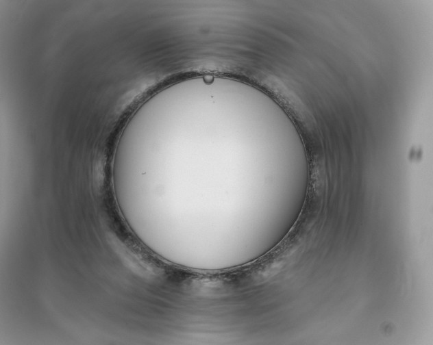 X0000096130208200802011155