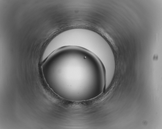 X0000096130209200802011155