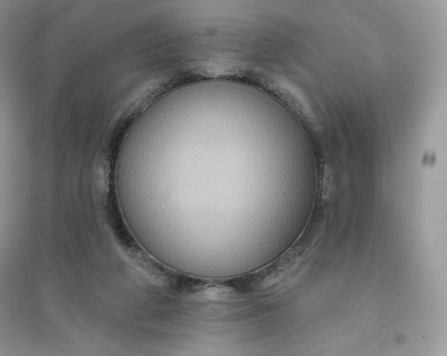 X0000096130210200802011155