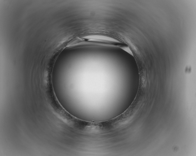 X0000096130211200802011155