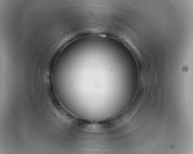 X0000096130212200802011155