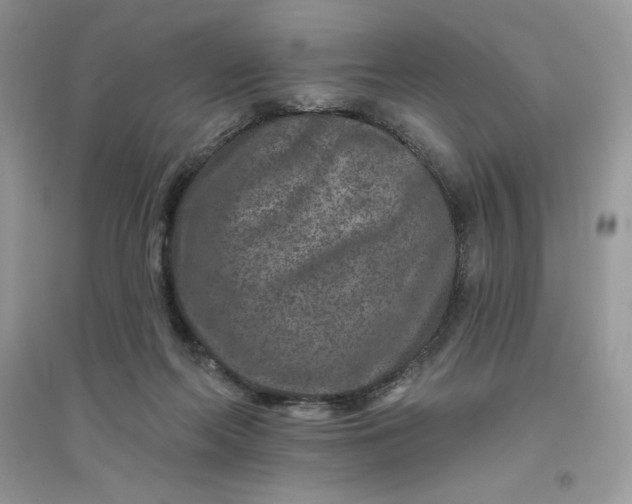 X0000096130214200802011155