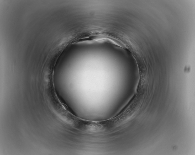 X0000096130215200802011155