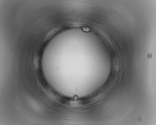 X0000096130216200802011155