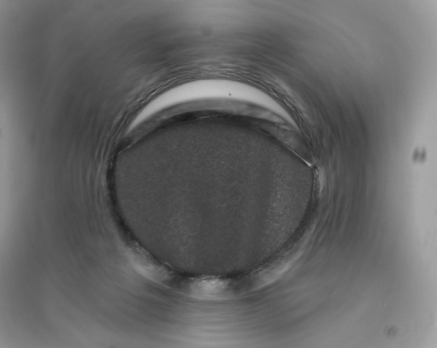 X0000096130217200802011155