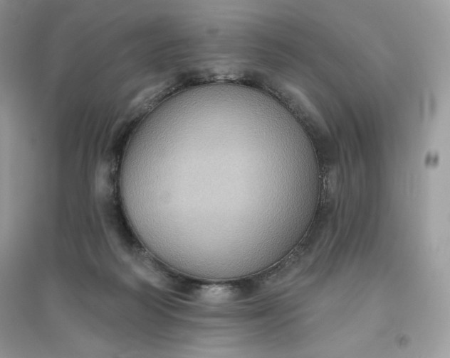 X0000096130218200802011155